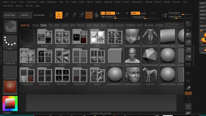 Pixologic Zbrush 2025 Technical Setup