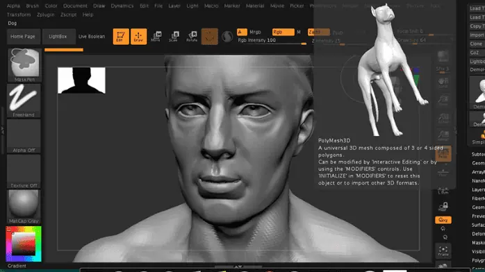 Pixologic Zbrush 2025 Technical Setup